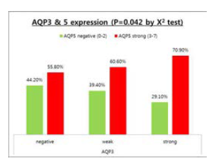 유방암에서 AQP3 및 AQP5 발현의 상관 관계