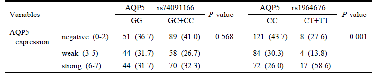 AQP5 SNP (74091166, rs1964676)의 유전자형에 따른 AQP5 발현차이 비교