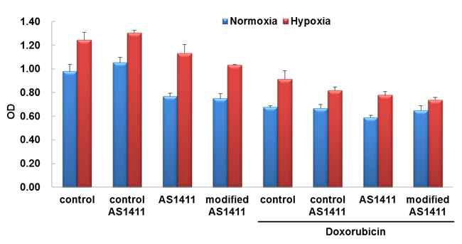 AS1411 압타머와 modified AS1411 압타머의 doxorubicin 병합 처리 시 in vitro 간암 세포주 억제 효능의 증가를 확인