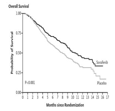 SHARP trial에서 소라페닙 치료군이 대조군에 비해 생존기간이 유의하게 향상되 었으나 생존기간의 연장은 2.8개월에 불과하 였음.