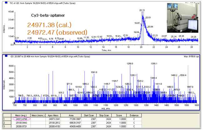 합성 Cy3-labeled-beta catenin의 ESI-LC-Mass spectrum