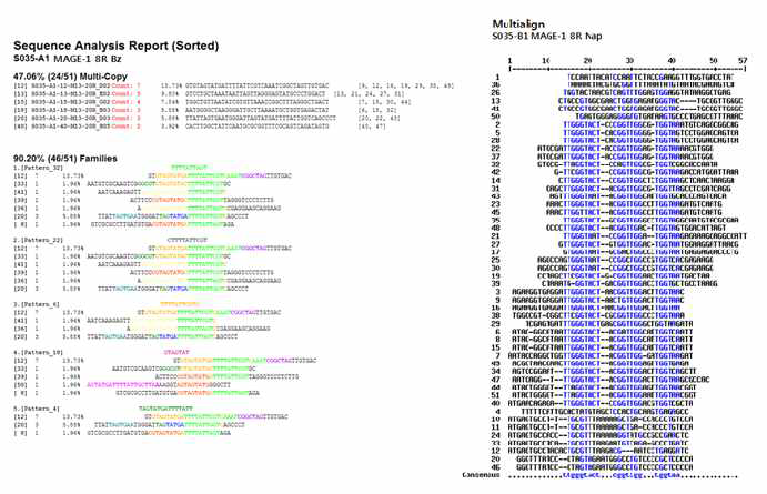 MAGE-1-특이 압타머(BzdU, NapdU)의 sequence analysis