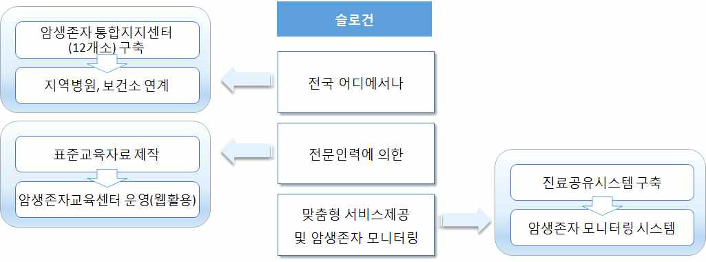 한국형 암 생존자 추진체계 개념도