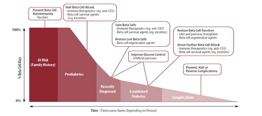 베타세포 잔여량에 따른 치료방법