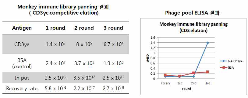 Monkey immune library panning