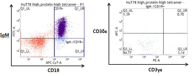 FACS sorting of CD3 reactive B cells after 4th immunization