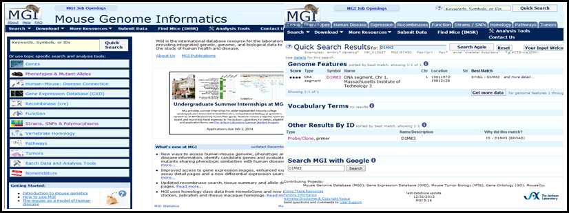 Mouse Genome Informatics(MGI)