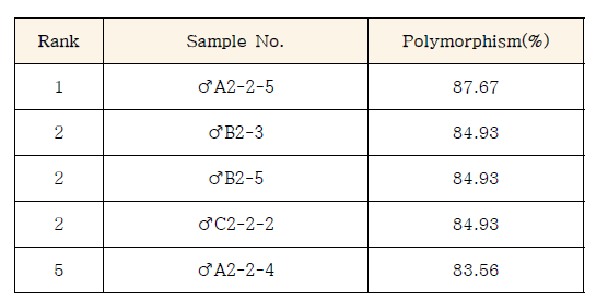 N3 polymorphism 분석 결과