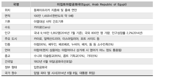 이집트 국가정보