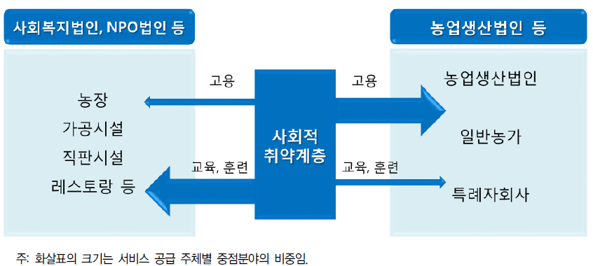 사회적 농업 서비스의 공급 주체와 중점분야