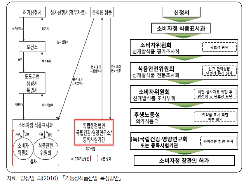 특정보건용식품의 허가 절차 및 심사 내용