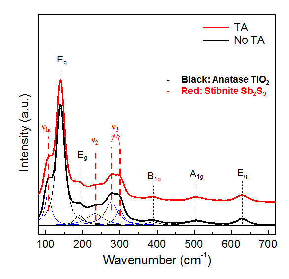 TA 처리 효과에 따른 라만 스 펙트럼 변화 그래프.