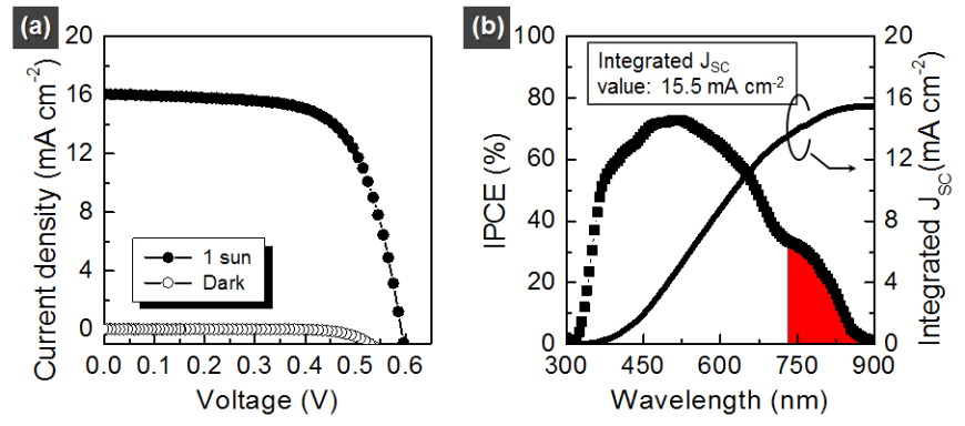 최고 효율을 갖는 태양전지의 (a) J-V 곡선과 (b) IPCE spectrum 그 래프.