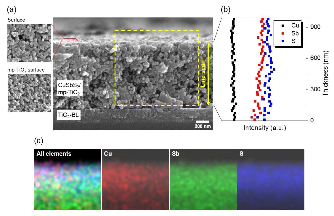 (a) CuSbS2/mp-TiO2/TiO2-BL/FTO 의 표면, 측면 FESEM 이미지와 (b) mp-TiO2 깊이에 따른EDX line scan profile 데이터 및 (c) 노란 점선으로 표기된 사 각형 영역에 대한 EDX 원소 mapping 이미지