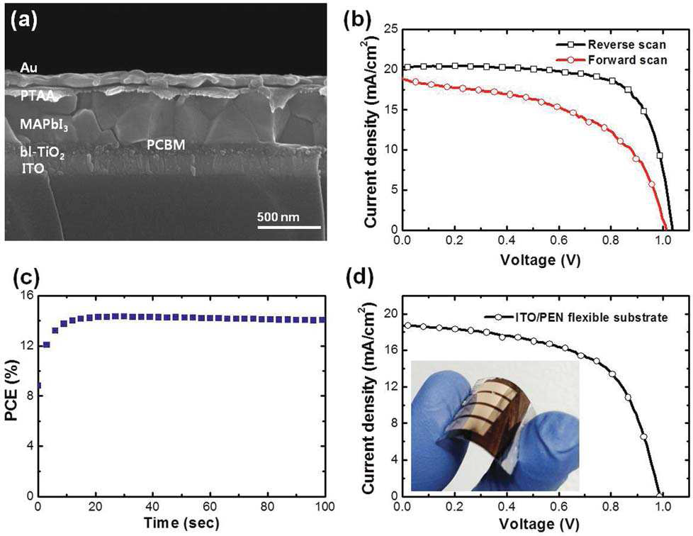 (a) 두 가지의 ETL (dense-TiO2와 PCBM)-CH3NH3PbI3헤테로정션 태양 전지의 구조를 보여주는 SEM 단면 이미지