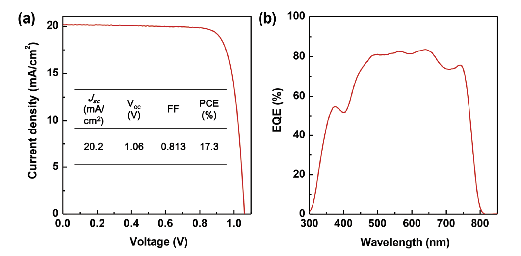 150 nm 두께의 PLD-NiO 나노구조체를 기반으로 하여 최고 효율을 보인 소자의 (a) J-V 그래프와 (b) EQE 그래프