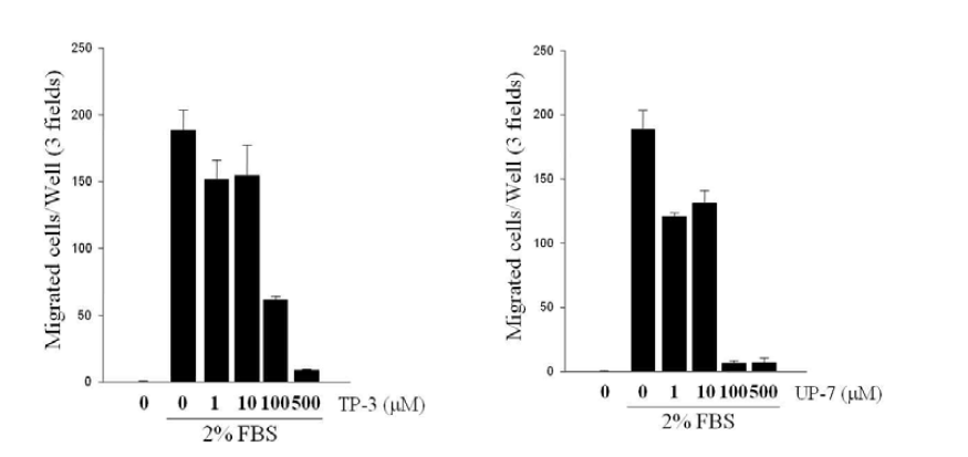 폐암세포의 이동에 대한 TP-3와 UP-7의 영향 조사