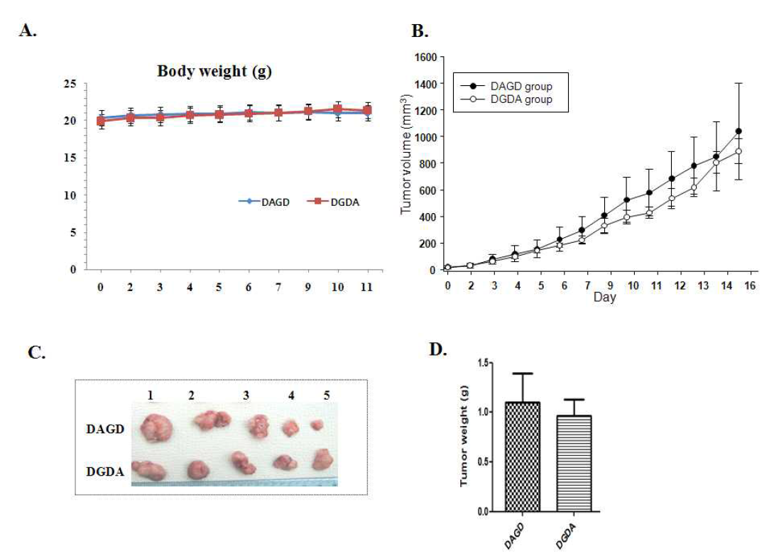 Soluble peptide 처리 시의 암 성장 비교