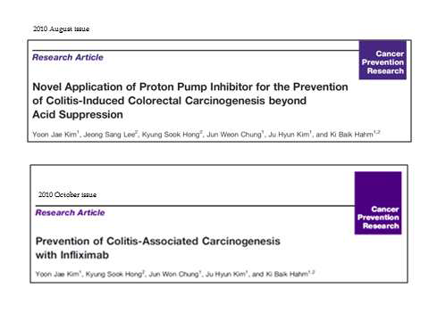 연구자등은 이미 수행된 암정복과 제를 통하여 항염증/항산화/항변이 작용이 있는 약물에 의하 여 염증성 대장암이 예방될 수 있음을 보고한 바 있음.