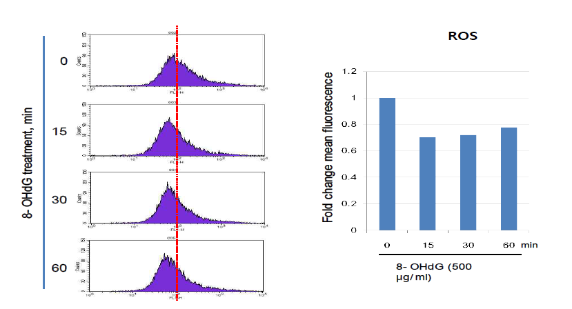 8-OHdG의 투여는 flow cytometry로 측정한 실험에서 항산화능이 있음을 밝힐 수 있었으며 이러한 실험결과는 본 연구의 목표인 염증성 대장암의 발생을 융의하게 감소시킬 수 있는 에비실험결과 를 시사함