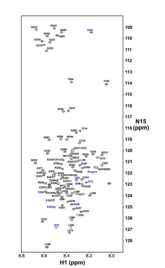 15N-SUSP4 (201-300) 단독 상태의 15N-1H HSQC 스펙트럼이다. 이 스펙트럼은 0.4mM의 15N-SUSP4 (201-300) 시료를 5℃에서 측정한 것이다. 스펙트럼의 x축과 y축은 각각 1H와 15N의 화학적 이동 (단위: ppm)을 나타낸다