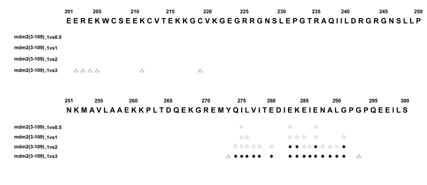 상기 도 2에서 언급된 mdm2(3-109) 적정과정 중 사라진 15N-SUSP4 (201-300)의 NMR 신호들을 도식화한 것이다. 사라진 NMR 신호들과 신호크기가 약화된 신호들은 각각 검은색과 흰색원으로 약간 이동한 신호들은 세모로 표시한다.