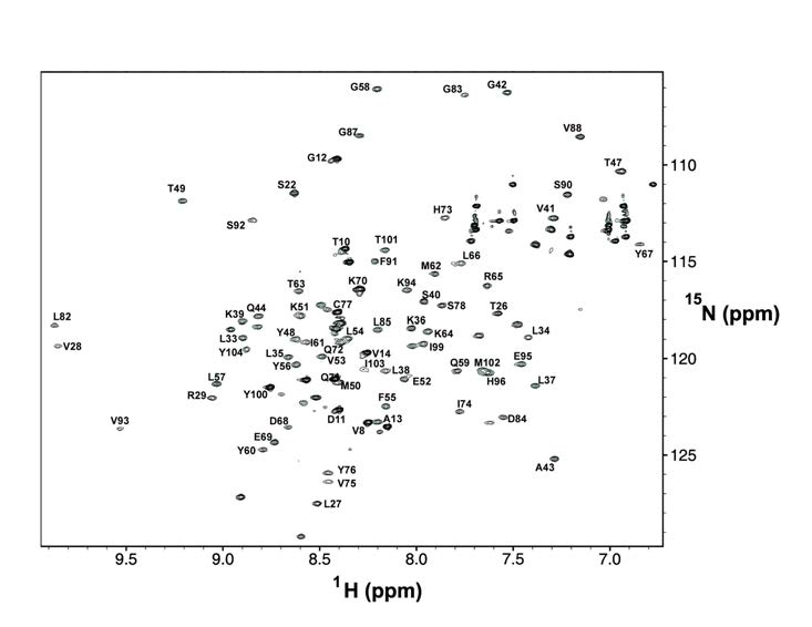 15N-mdm2(3-109) 단독 상태의 15N-1H HSQC 스펙트럼이다. 이 스펙트럼은 0.05mM의 15N-mdm2(3-109) 시료를 5℃에서 측정한 것이다. 화학적 이동 (chemical shift)이 지정(assignment) 되어진 peak들은 해당 잔기명을 표시하였다.