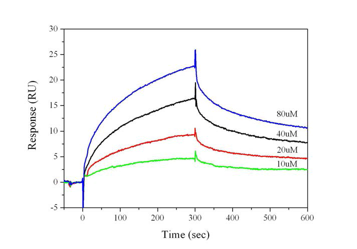 mdm2(3-109) 단백질과 SUSP4 (263-291) 펩타이드 간의 결합과 해리 과정을 시간별로 측정한 BIAcore 실험의 센소그램 (sensorgram)이다