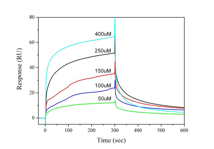 mdm2(3-109) 단백질과 SUSP4 (273-291) 펩타이드 간의 결합과 해리 과정을 시간별로 측정한 BIAcore 실험의 센소그램 (sensorgram)이다.