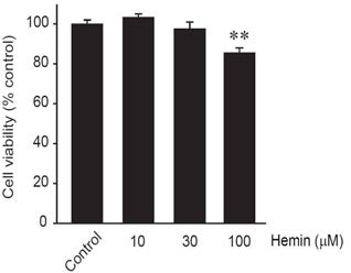 Hemin의 낮은 세포독성