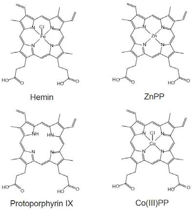 프로토포르피린계 화합물