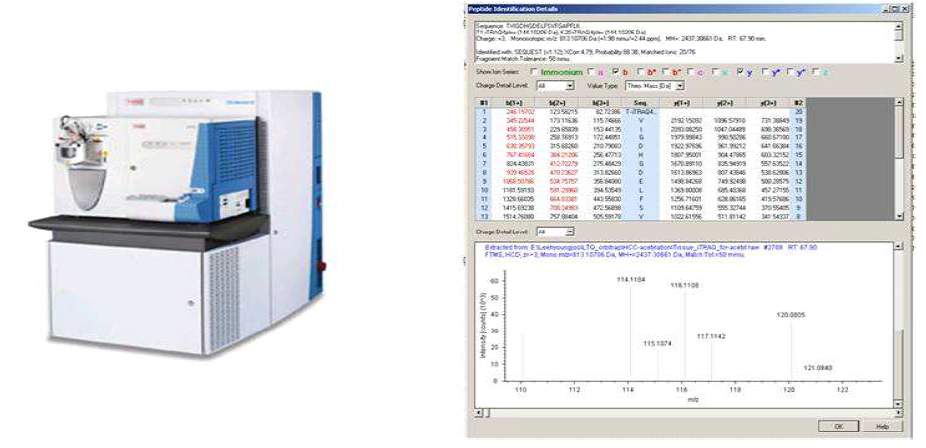 ThermoFisher사의 LTQ-Orbitrap ETD를 이용한 간암특이 단백질 검출