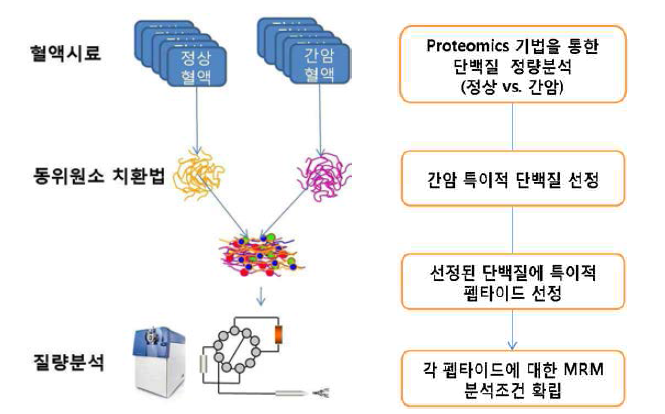 MRM 정량분석을 위한 표적 단백질 100개 선정