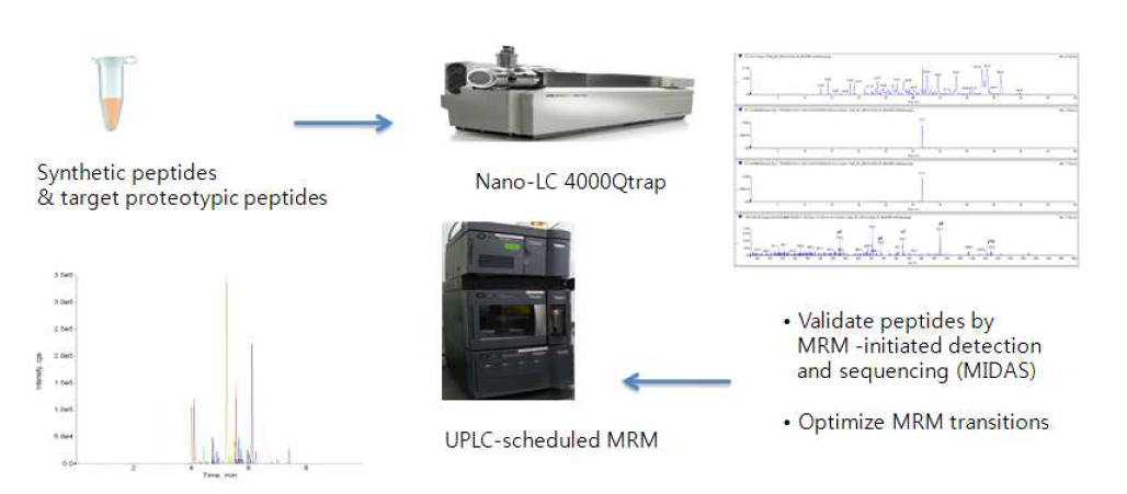 초고속 펩타이드 정량분석 시스템 개발 과정