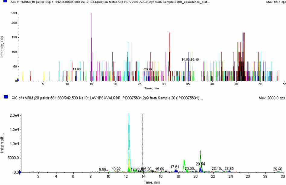 유의적인 MRM peak이 전혀 검출되지 않은 경우(위 그림)와, MRM peak은 검출되었으나 표적 단백질에 대한 peak이 아닌 것으로 판명된 사례(아래 그림)의 결과