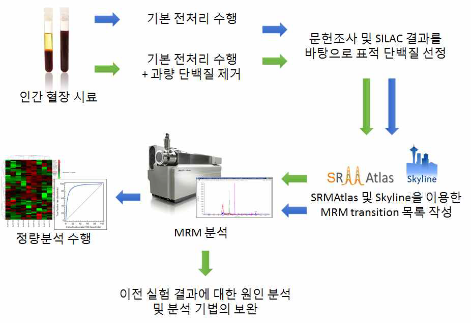 후속 조치를 위한 보완 실험 모식도