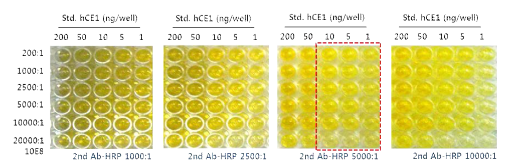 1차 항체 첨가비율과 hCE1 protein 농도에 따른 ELISA 분석 결과