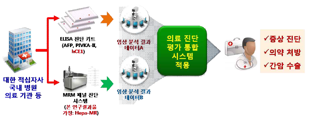 본 과제 연구성과물의 최종 간암 진단 활용도 예시