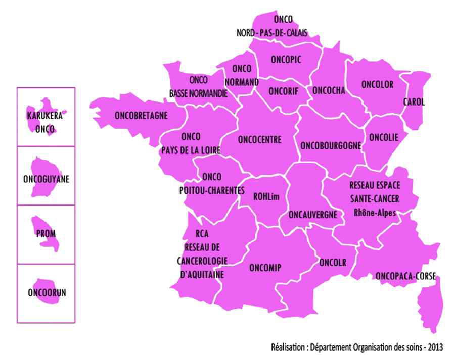프랑스 지역 암 네트워크