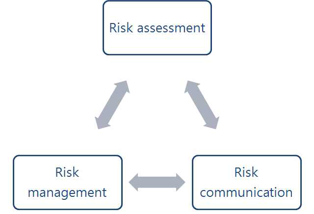건강위험평가와 위험 관리 및 위험 소통과의 관계