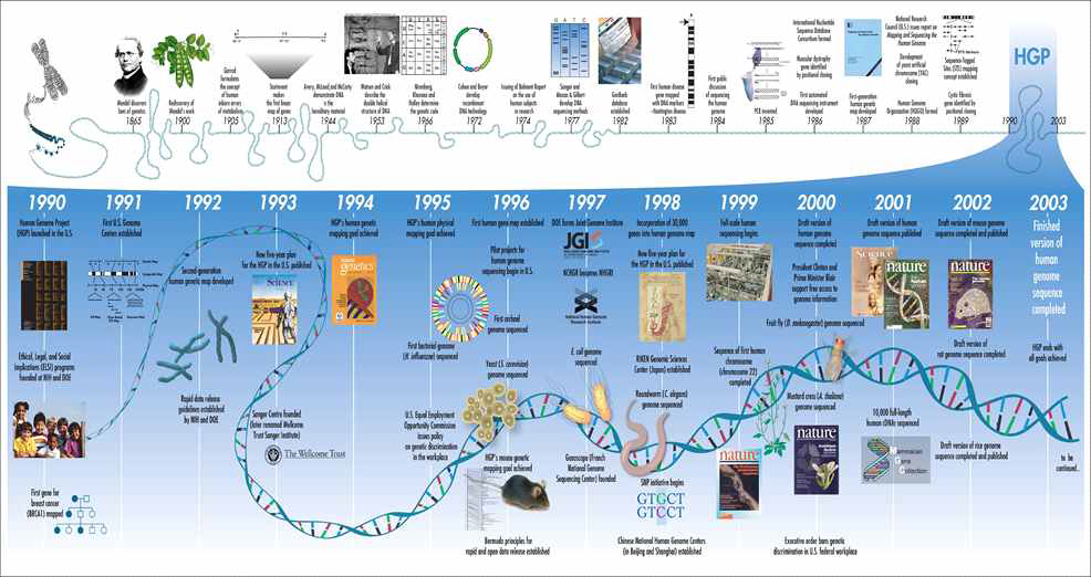유전체연구의 발전 및 주요 결과들