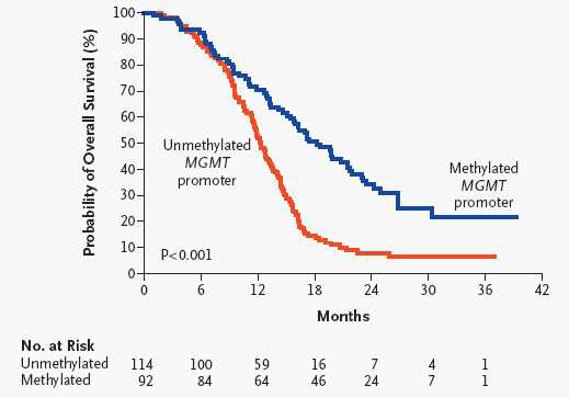 최초 진단된 교모세포종에서 MGMT promoter methylation 상태에 따른 치료결과.