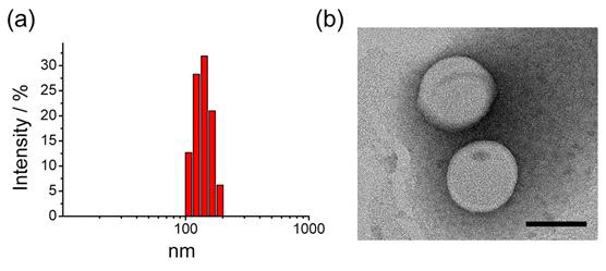 (a) Dynamic Light Scattering으로 측정한 일반 리포좀의 입자의 유체역학적 직경의 분포. (b) 투과전자현미경(TEM)으로 촬영한 일반 리포좀의 형태. Scale bar는 100 nm를 나타냄.