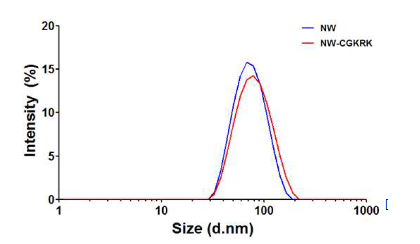 CGKRK 암표적 펩타이드 부착 전과 후 자성나노벌레(NW)의 유체동역학 크기변화 측정 결과.