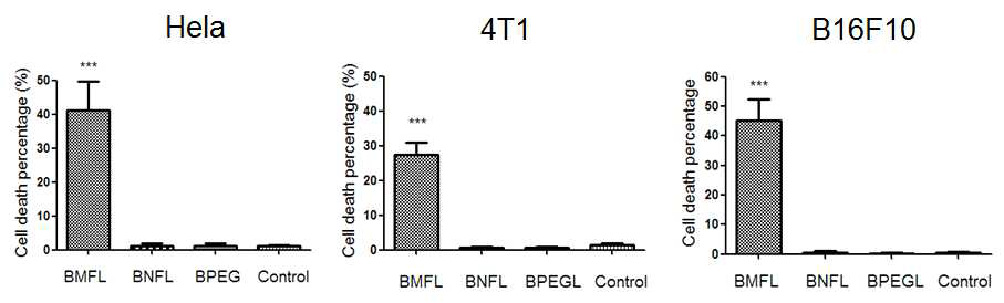 세포막결합성 리포좀 (BMFL)과 PEG가 없는 BNFL 리포좀, DOTAP이 없는 BPEGL 리포좀을 처리하여 세포막성 수포에 의한 2차적인 biotin전달을 일으킨 후 Ce6-SA를 처리하여 PDT를 통한 세포사멸을 관찰함