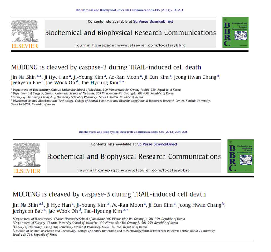BBRC 학술지에 발표된 MUDENG 연구