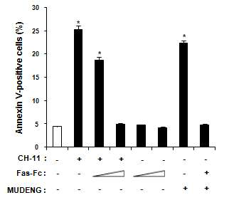 FACS를 이용한 MUDENG의 세포사멸 능