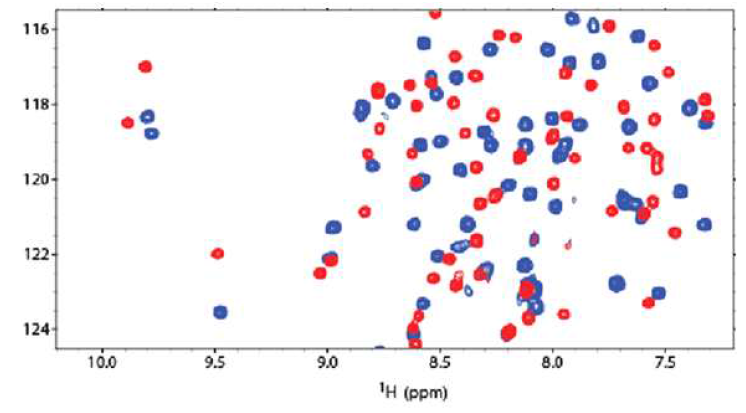 MDM2 와 p73TAD(10-25) 펩타이드 간 결합활성 측정 NMR 실험에서 chemical shift perturbation 의 관찰. MDM2 단독 상태 (red) 및 p73TAD(10-25) 펩타이드 결합상태 (blue) 의 15N-1H 2D HSQC 스펙트럼의 확대를 통해 chemical shift perturbation 관찰