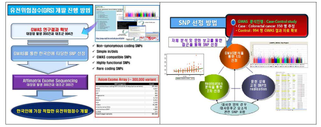 본 연구팀의 Affymetrix custome exome sequencing을 이용한 한국인 대장암 관련 SNP 선정 및 GRS 개발진행방법