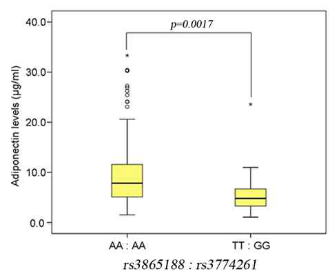 CDH13의 ligand인 adiponectin의 SNP(rs3774261)와 rs3865188의 상호작용에 따른 adiponectin levels